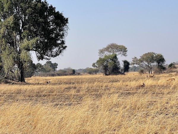 Kafue National Park 4