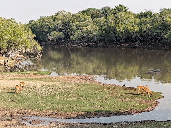 Kafue National Park 2