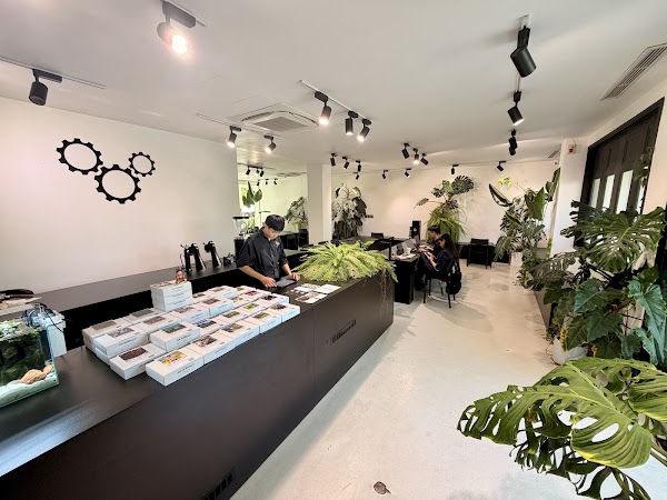 XLIII Specialty Coffee 5