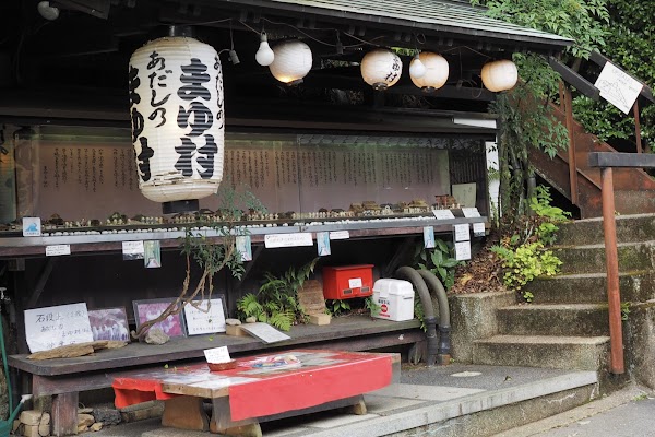 Adashino Mayumura 1