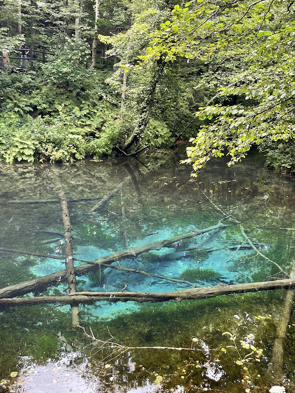 Kaminoko Pond