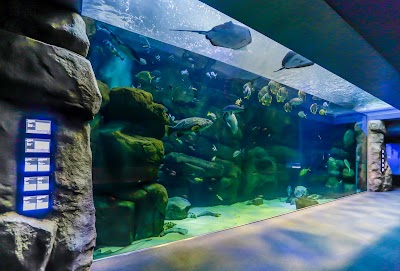 Miyajima Public Aquarium 1