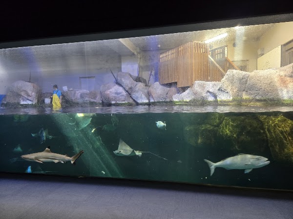 Miyajima Public Aquarium 4