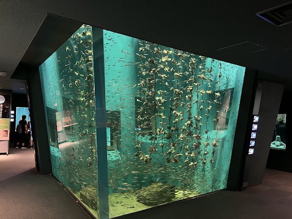 Miyajima Public Aquarium 2
