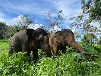 Phuket Elephant Nature Reserve - Ethical Elephant Sanctuary 1