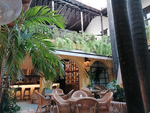 Soloio Cafe 1