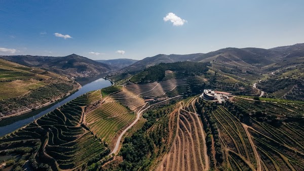 Quinta São José do Barrilário - Douro Wine Hotel & Spa 3