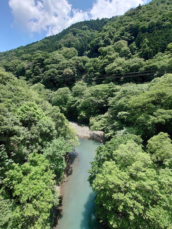 Haya River 5