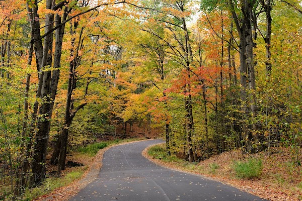 Chestnut Ridge Park