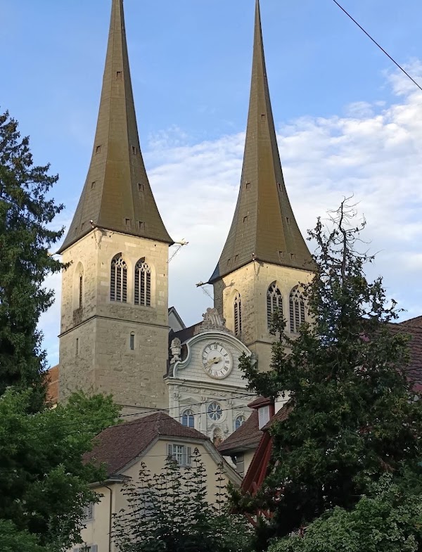Hofkirche St. Leodegar 5