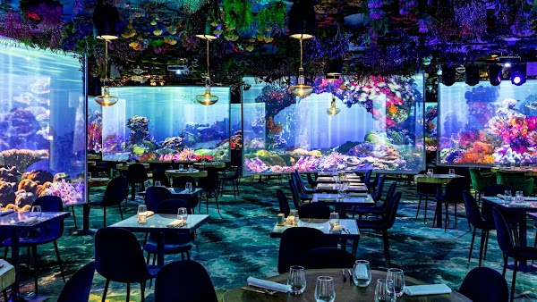 Under the Sea