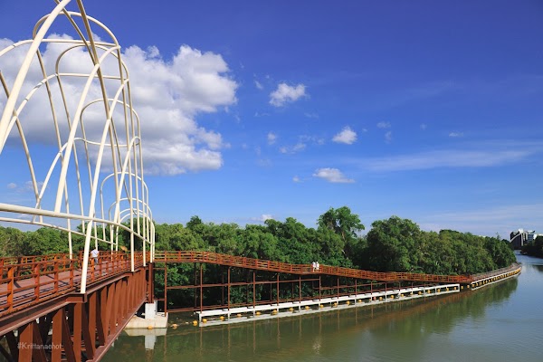 Mangrove Forest Bridge Sapan Pa Chai Len