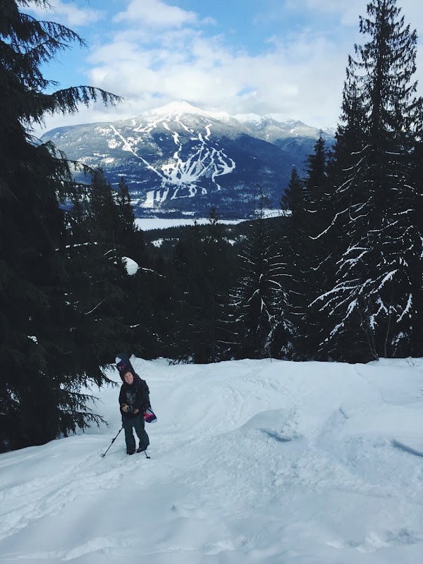 Revelstoke 4