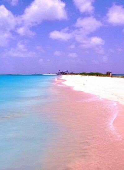 Pink Sands Beach