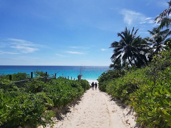 Pink Sands Beach 4