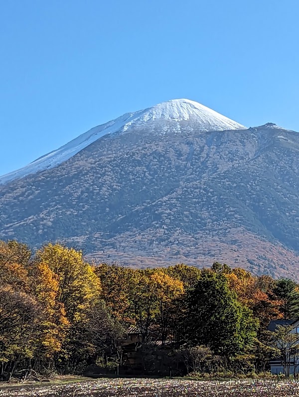 Mori no Ohashi Bridge 4