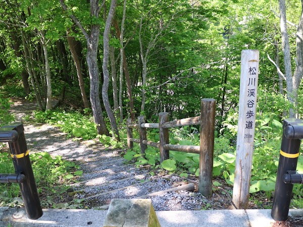 Mori no Ohashi Bridge 2