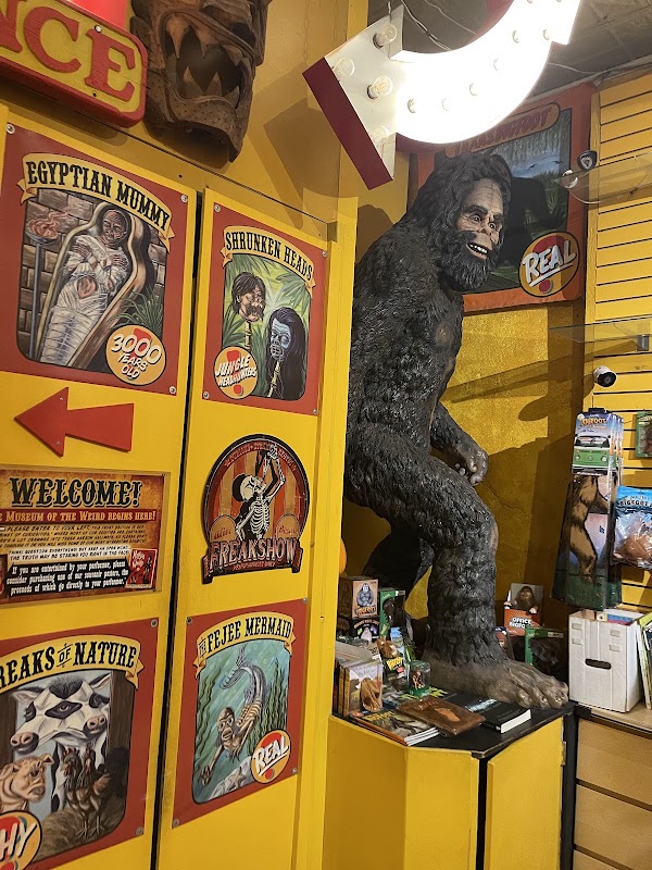 Museum of the Weird 4