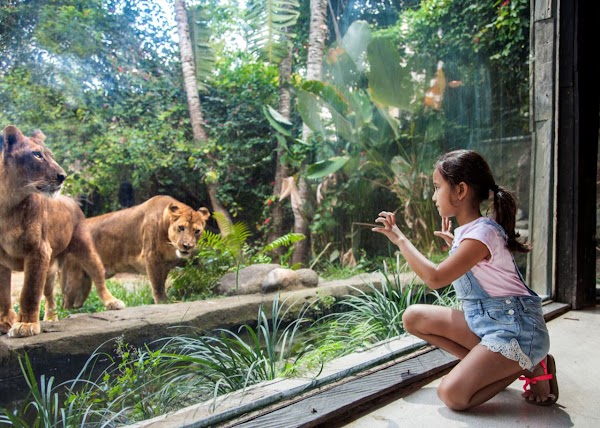 Bali Zoo 4