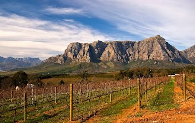 Stellenbosch