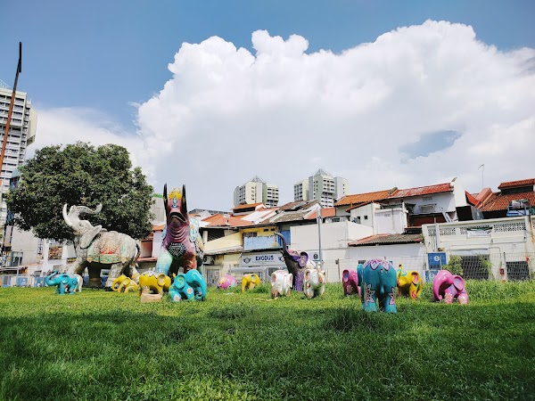 Little India 4