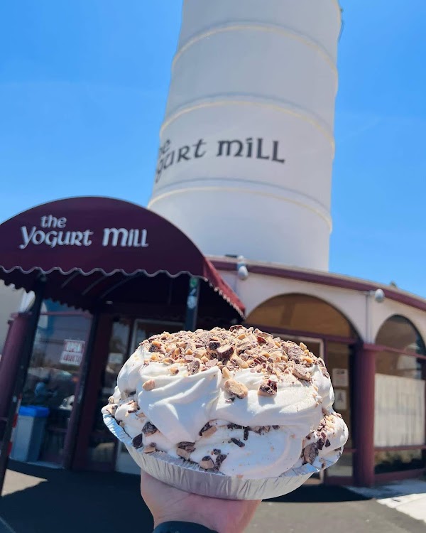 Yogurt Mill 5