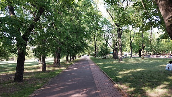 Letná Park 5