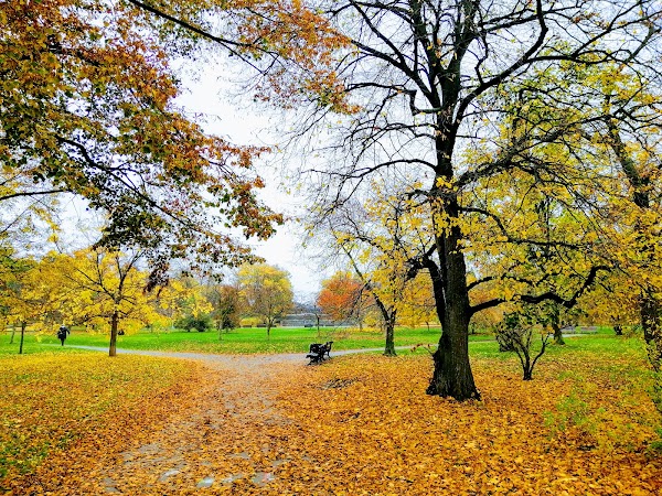Letná Park 3