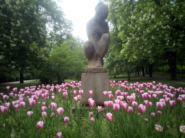 Letná Park 2