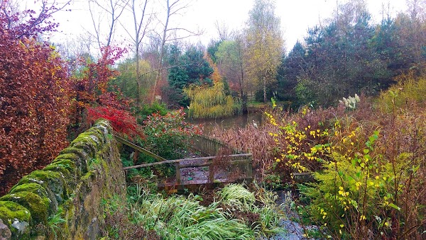 Gradbach Mill 2