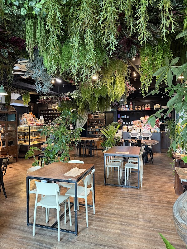 Linn Cafe 5