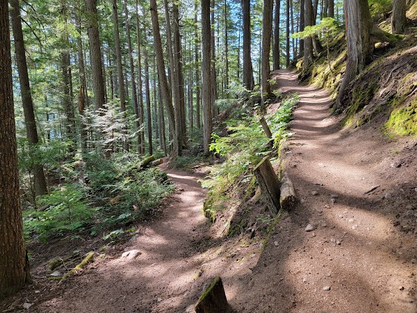 Begbie Falls 4