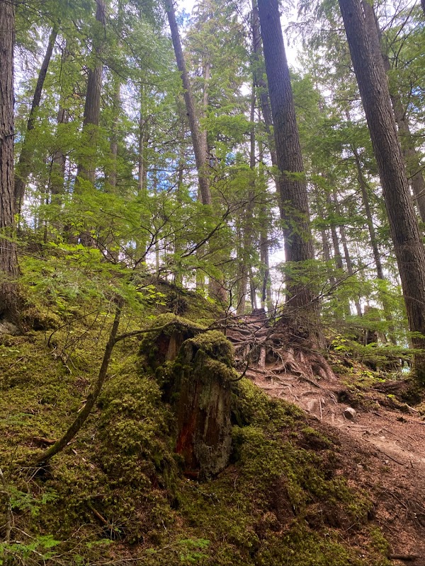 Begbie Falls 2