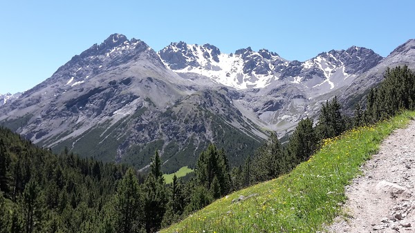 Alp Mora 1