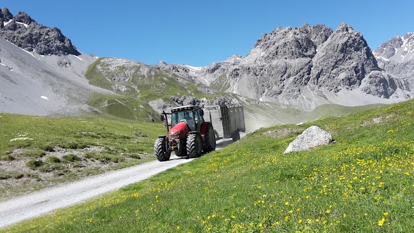 Alp Mora 4