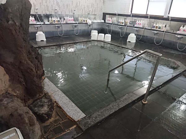Hiraizumi Hotel Musashibo 4