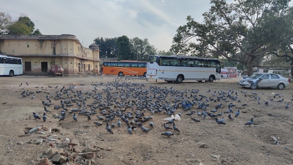 Gangori Bazaar 4