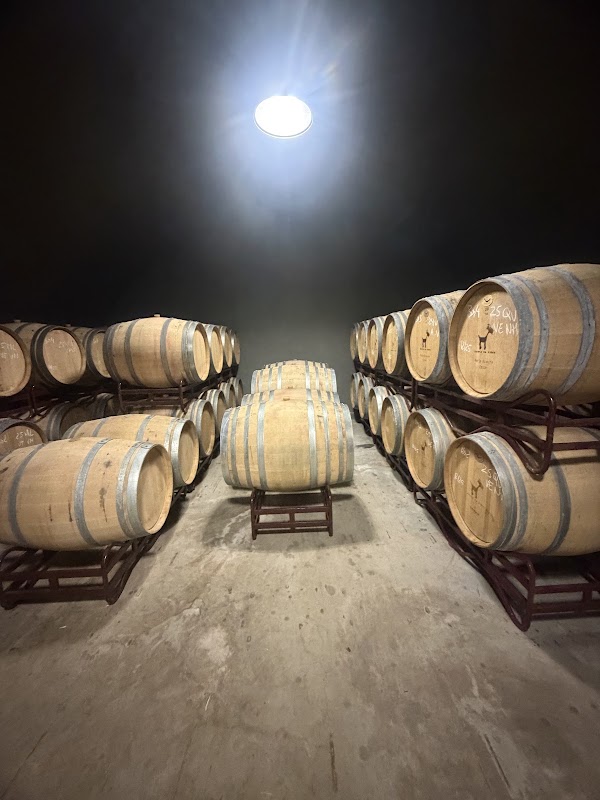 Adega Quinta da Vinha - Vinhos Cabrita 4