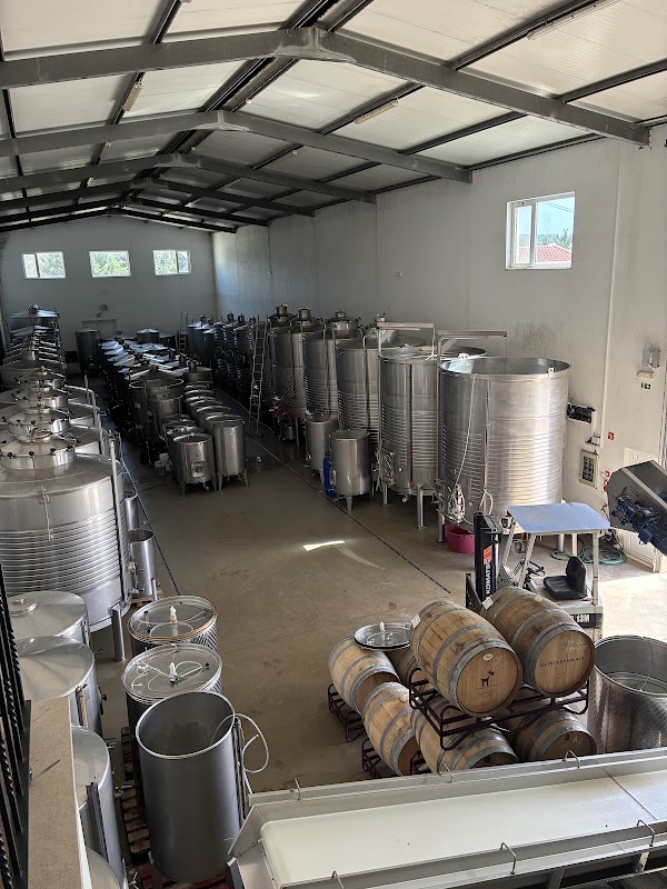 Adega Quinta da Vinha - Vinhos Cabrita 3