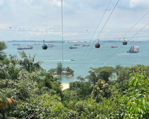 Mega Adventure - Singapore 5