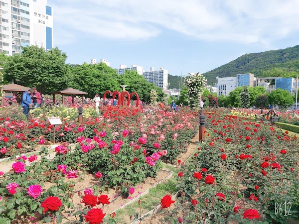 Rose Park