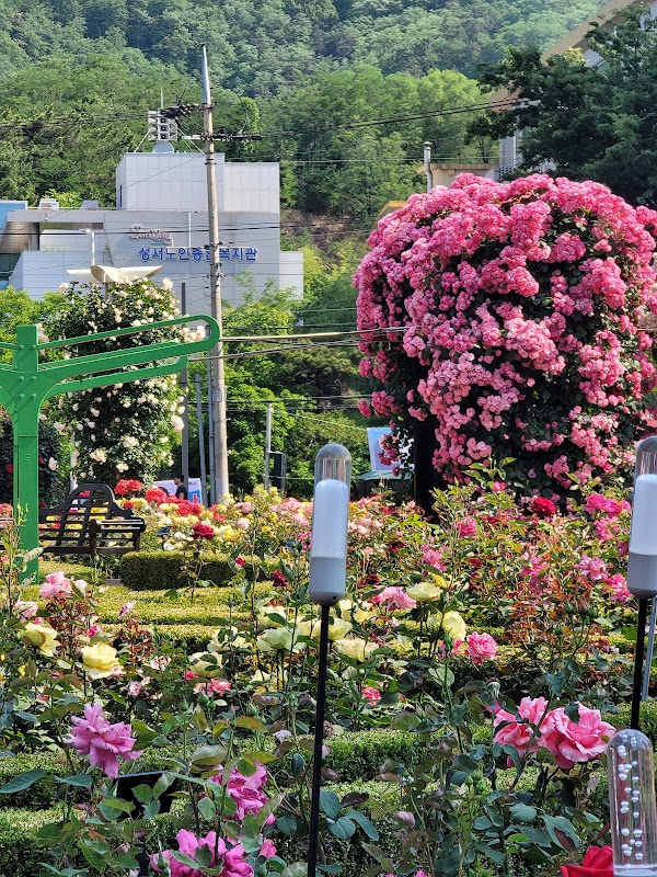 Rose Park 5