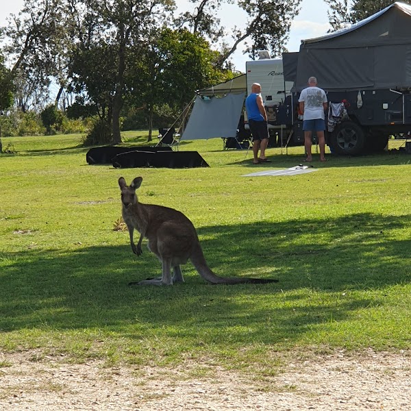 Kylies Beach campground 3