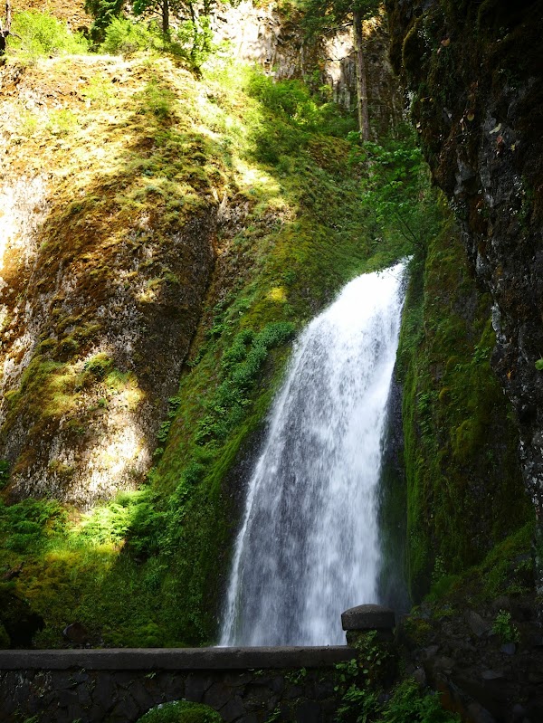 PNW 22