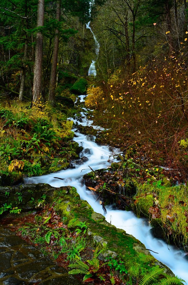 Wahkeena Falls 5