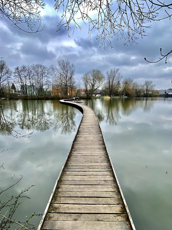 Vestecký rybník