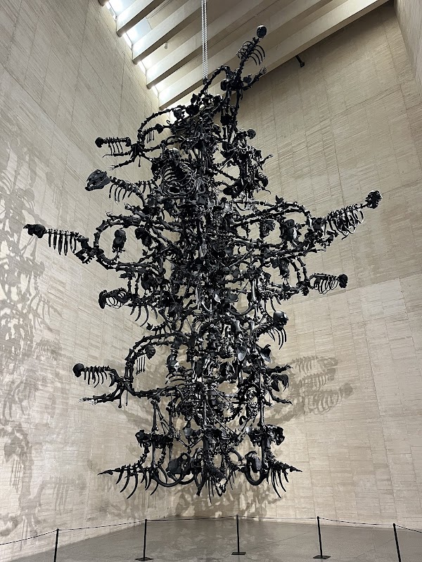 Museo de Arte Contemporáneo de Castilla y León 3