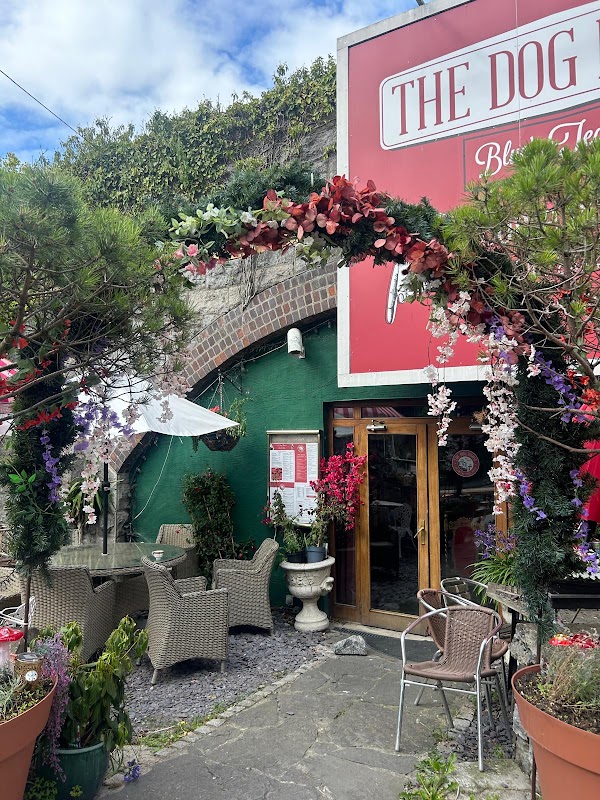The Dog House Blue's Tea Room Restaurant 1