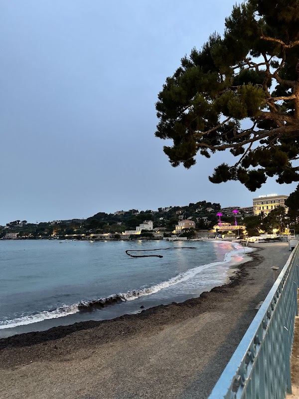 Baie des fourmis