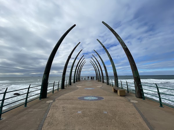 Whalebone Pier 1